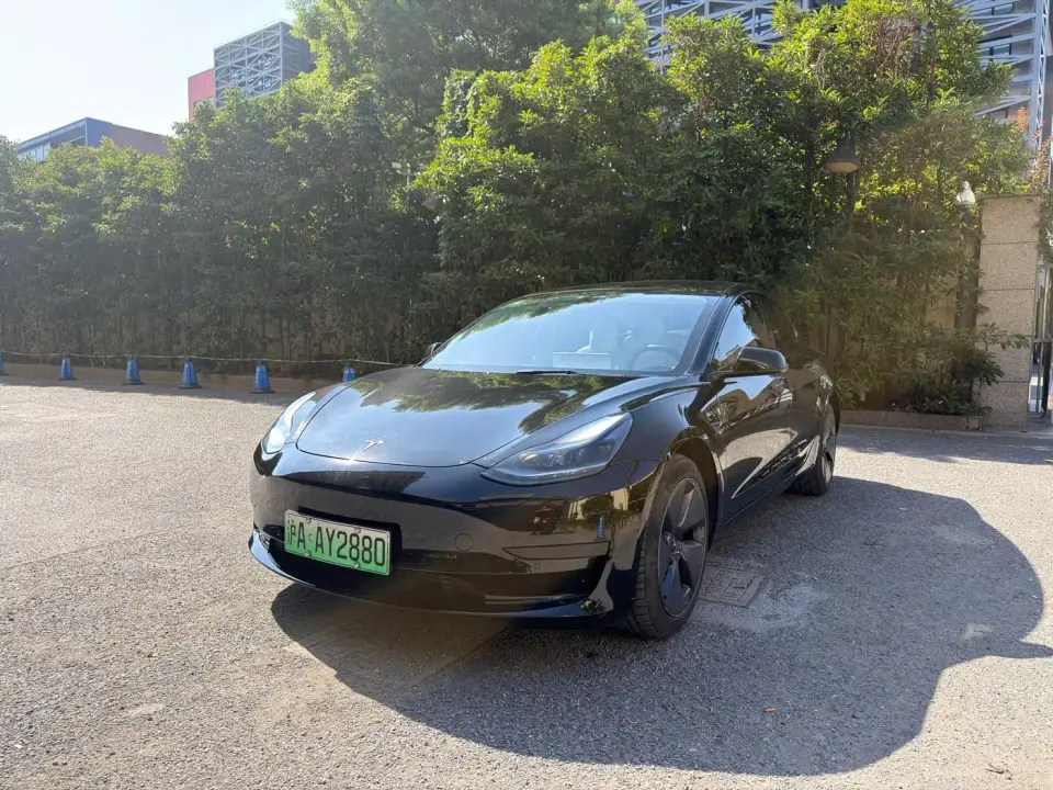 Tesla Model 3 Model Rear-Wheel Drive Version 2022