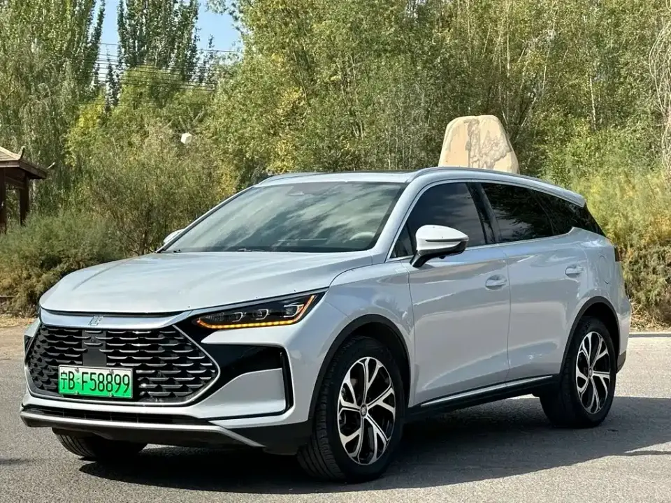 BYD Tang New Energy DM-i 115KM Premium 2025