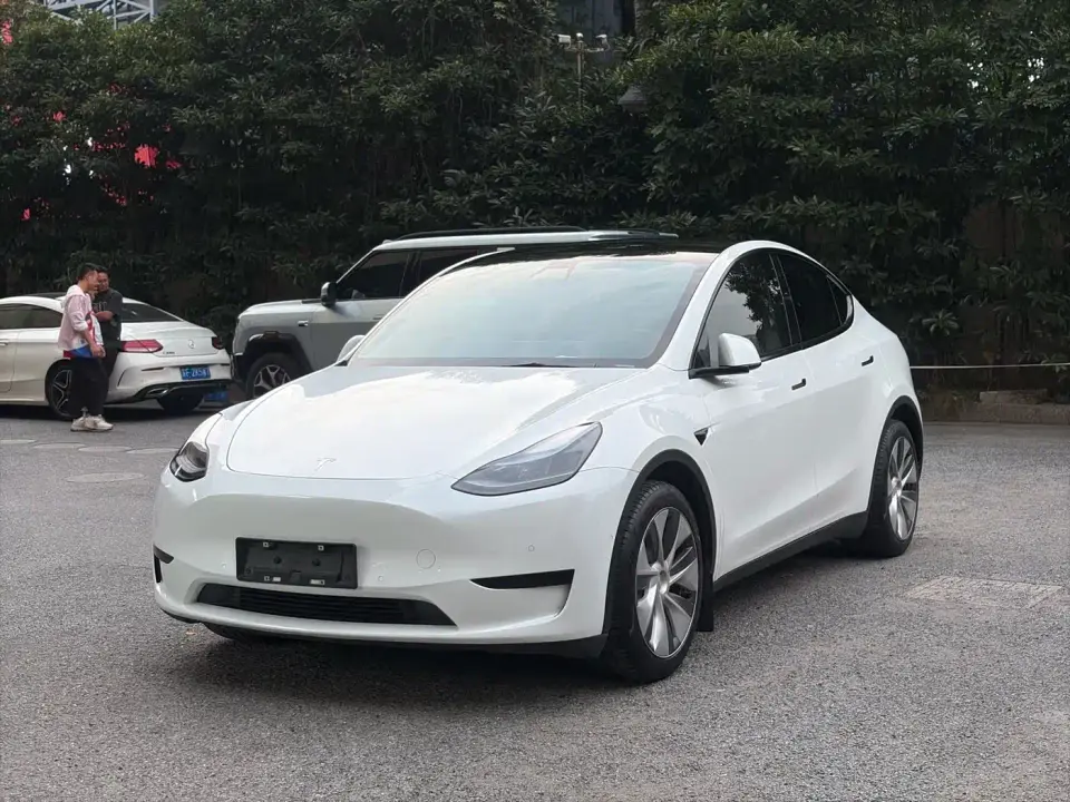 Tesla Model Y Rear-Wheel Drive Version 2022