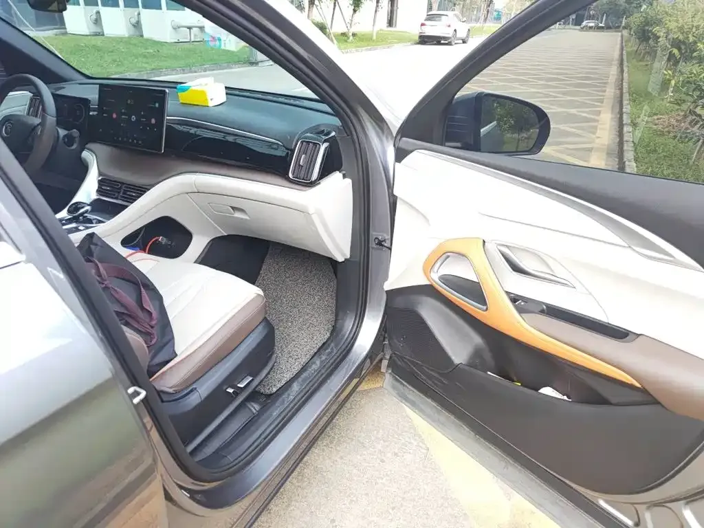 BYD Song Pro New Energy DM-i 51km Prestige 2023 — фото 19