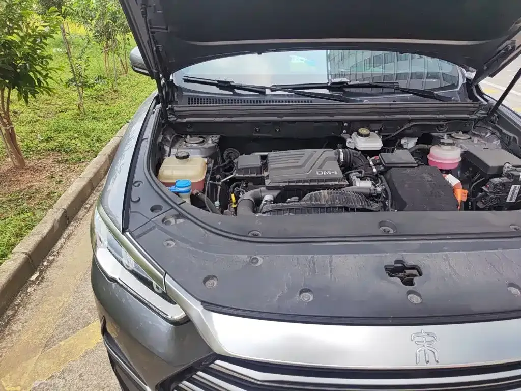 BYD Song Pro New Energy DM-i 51km Prestige 2023 — фото 21