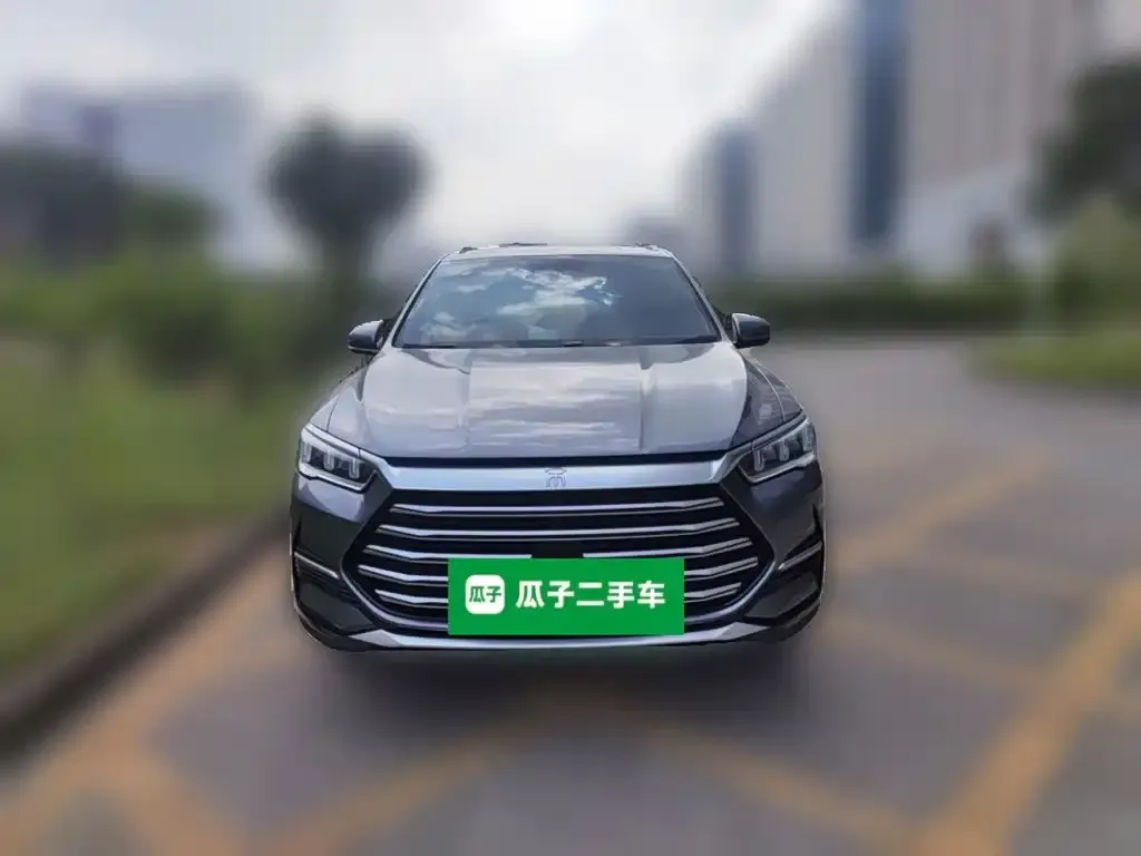 BYD Song Pro New Energy DM-i 51km Prestige 2023 — фото 2