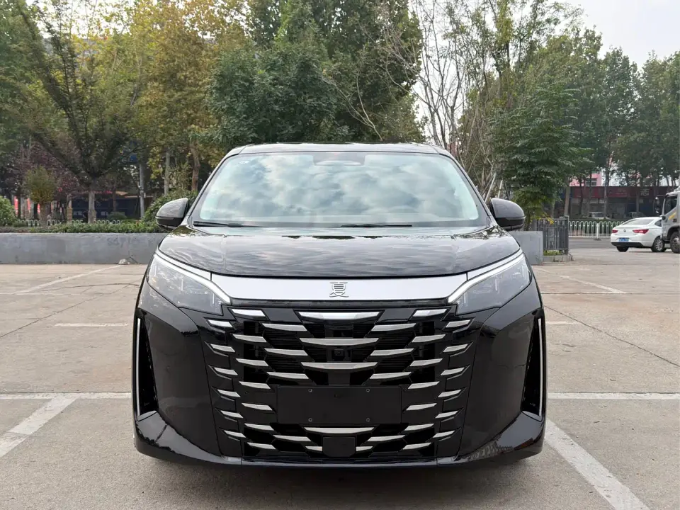 BYD Xia DM-i 1.5T 100km Surpass Edition 2025