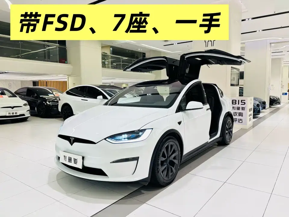 Tesla Model X Dual Motor All-Wheel Drive Edition 2023