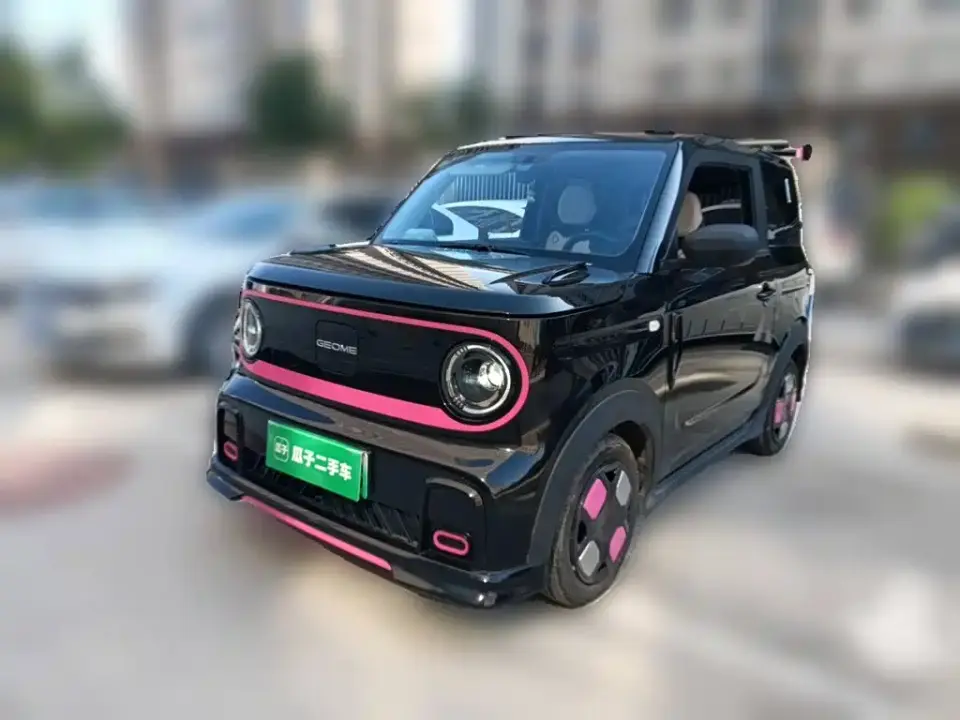 Geely Galaxy Panda Model Year 210km Panda Kart 2025