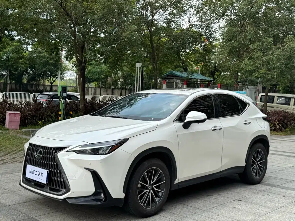 Lexus NX 260 FWD Joy Creation Edition 2022