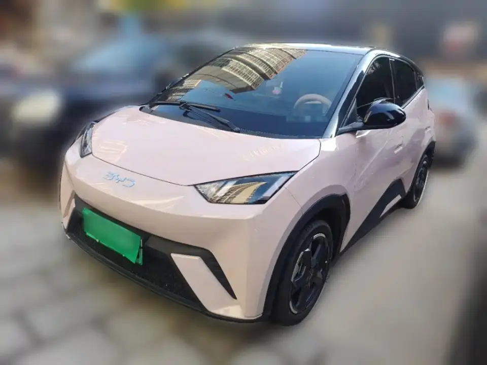 BYD Seagull Glory Edition 305km Freedom Edition 2024