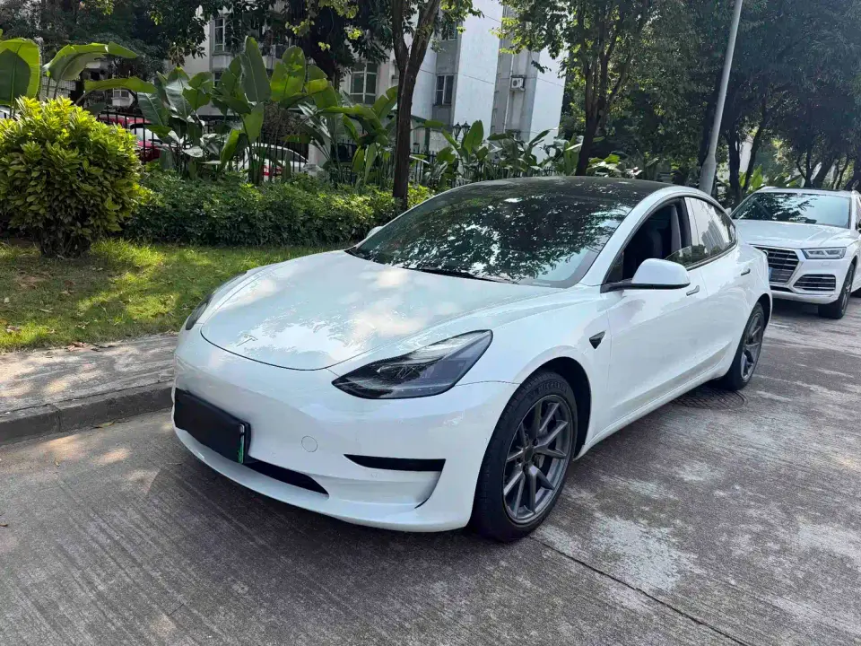 Tesla Model 3 Model Rear-Wheel Drive Version 2022