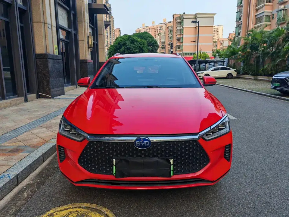 BYD e2 Upgraded Standard Range Comfort 2020