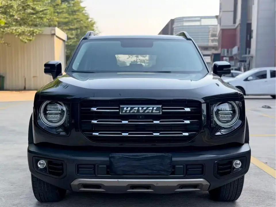Haval Big Dog 1.5T DCT 2WD Border Collie Edition 2021
