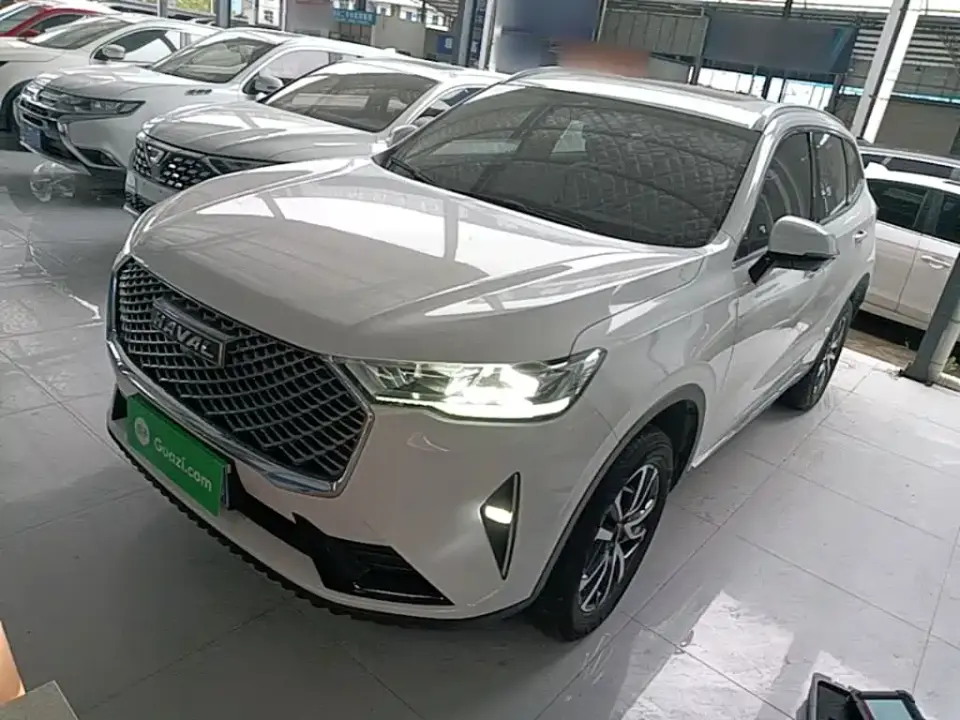 Haval H6 3rd Gen 1.5T Auto 2WD Pro 2024