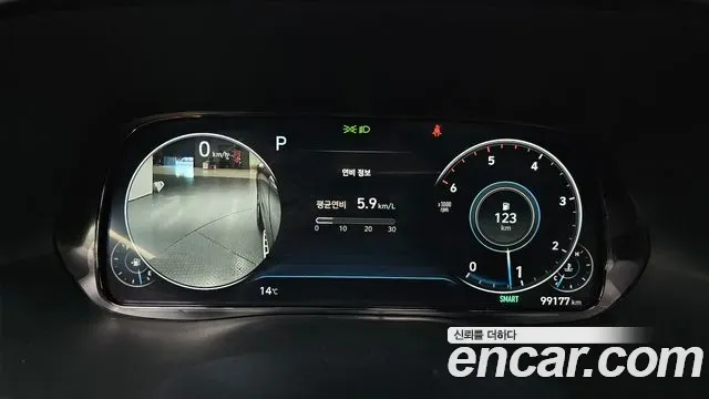 Hyundai Palisade Diesel 2.2 2WD Prestige 2020 — фото 8