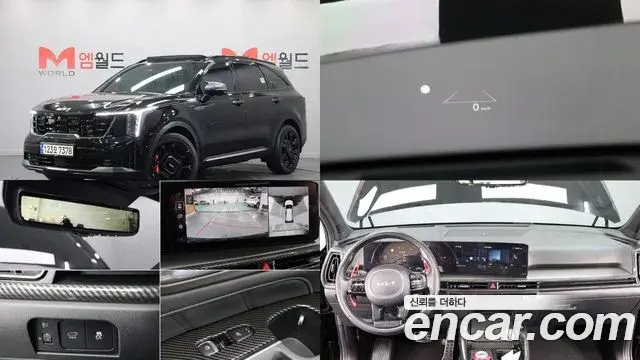 Kia Sorento Gasoline 2.5T 4WD Gravity 2024
