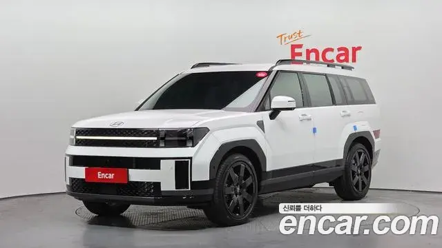 Hyundai Santa Fe Gasoline 2.5T 2WD Calligraphy 2024