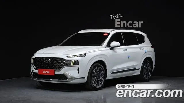 Hyundai Santa Fe Gasoline 2.5T 2WD Calligraphy 2022