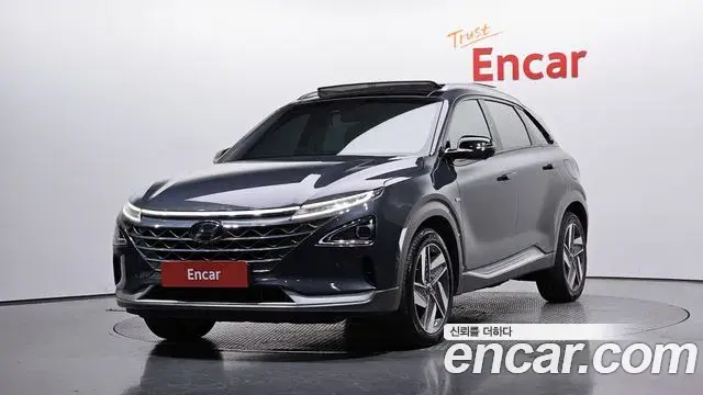 Hyundai Nexo Premium 2020