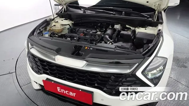 Kia Sportage Gasoline 1.6 Turbo 2WD Signature 2021 — фото 6