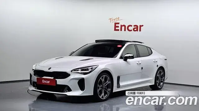 Kia Stinger 2.0 Turbo 2WD Platinum 2019