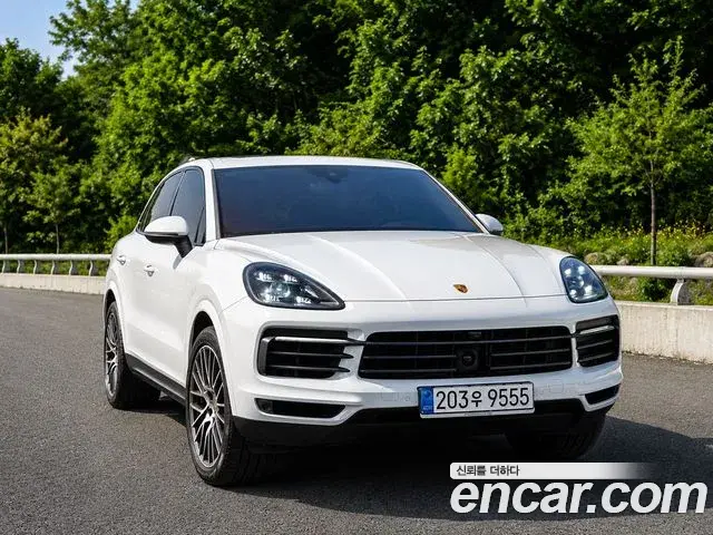 Porsche Cayenne 3.0 PLATINUM EDITION 2022