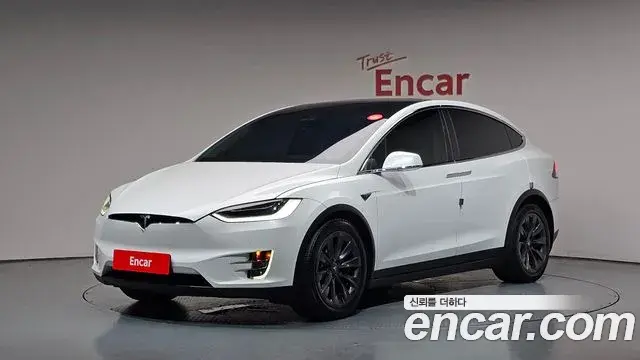 Tesla Model X 100D 2019
