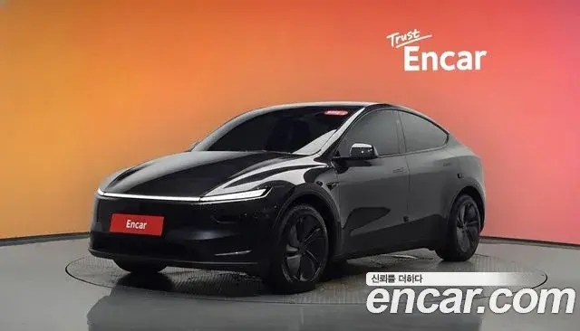 Tesla Model Y Long Range AWD 2025