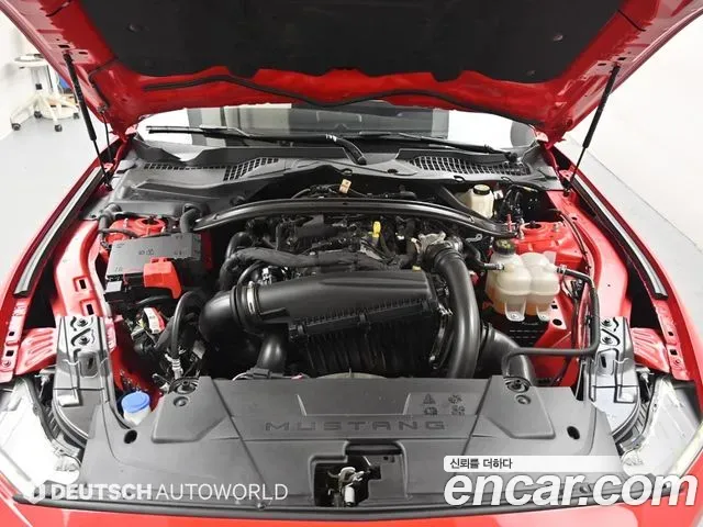 Ford Mustang 2.3 Ecoboost Premium Convertible 2024 — фото 6