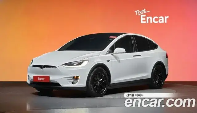 Tesla Model X 100D 2019