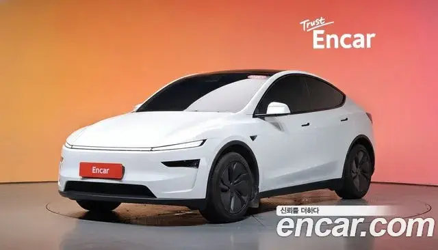 Tesla Model Y Long Range AWD 2025