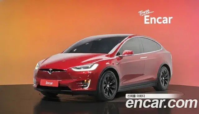 Tesla Model X 100D 2019