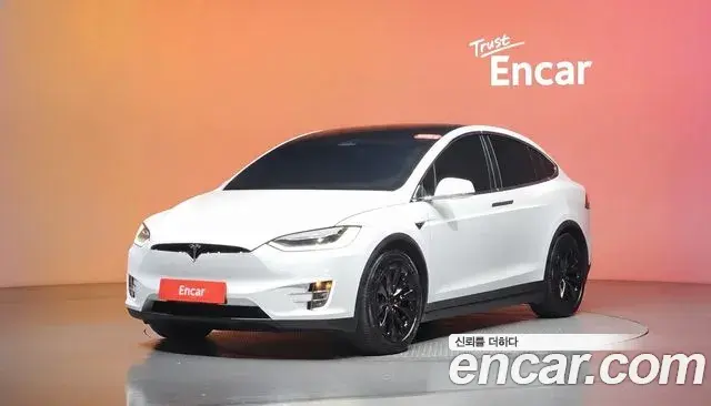 Tesla Model X 100D 2019