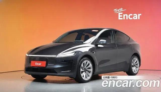 Tesla Model Y Long Range AWD 2025