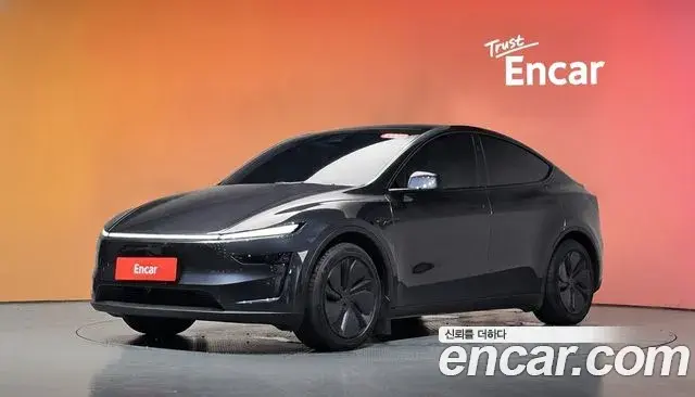 Tesla Model Y Long Range AWD 2025