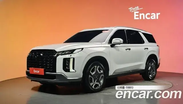 Hyundai Palisade Diesel 2.2 2WD Le Blanc 2024