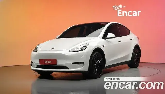 Tesla Model Y Long Range AWD 2024