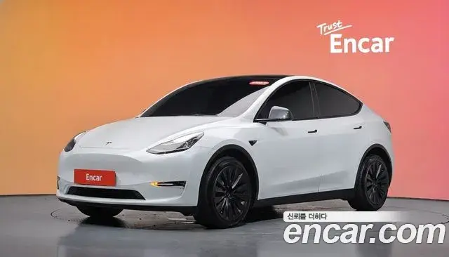 Tesla Model Y Long Range AWD 2021