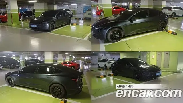 Tesla Model 3 스탠다드 RWD 2026