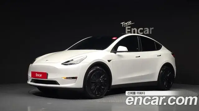 Tesla Model Y Standard Range RWD 2021