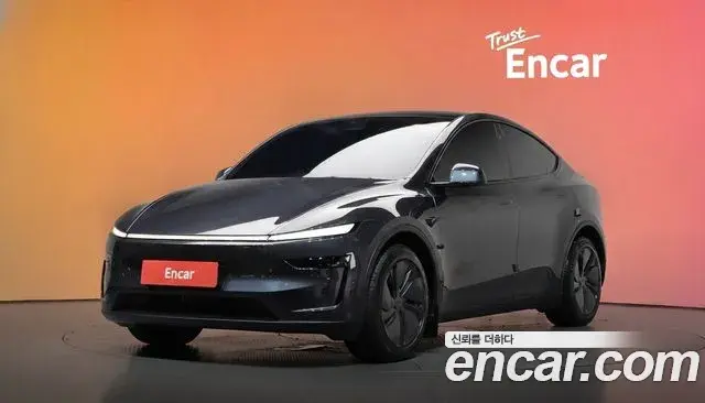 Tesla Model Y Long Range AWD 2025