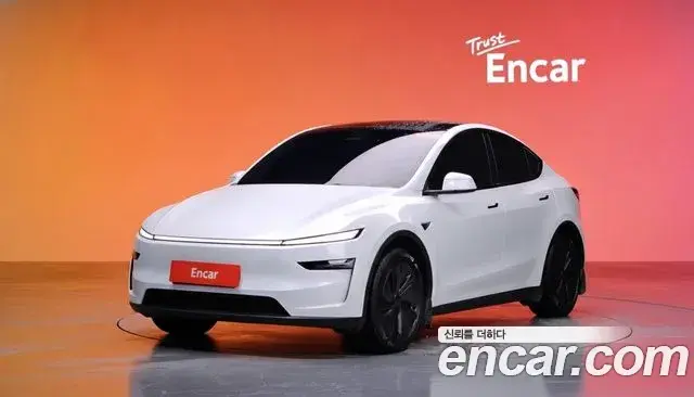 Tesla Model Y Long Range AWD 2025