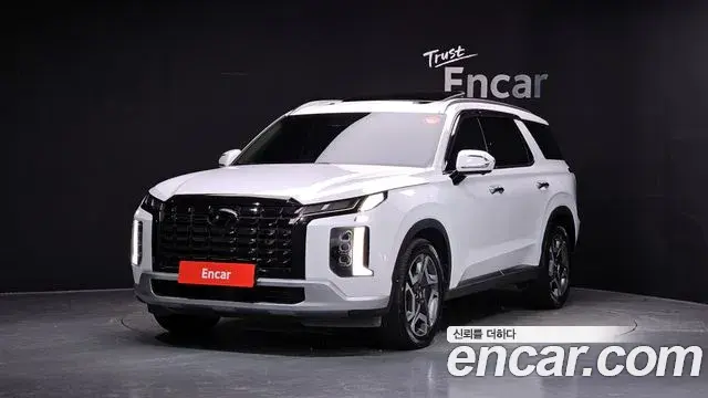 Hyundai Palisade Diesel 2.2 2WD Le Blanc 2024