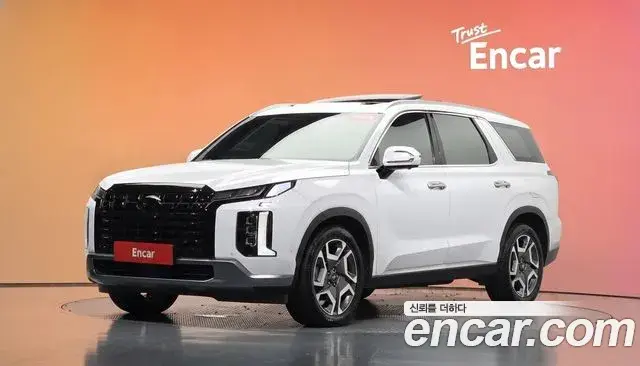 Hyundai Palisade Diesel 2.2 4WD Le Blanc 2023