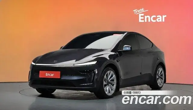 Tesla Model Y Long Range AWD 2025
