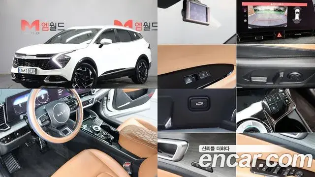 Kia Sportage Gasoline 1.6 Turbo 2WD Signature 2024