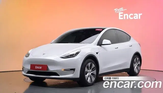 Tesla Model Y Standard Range RWD 2021