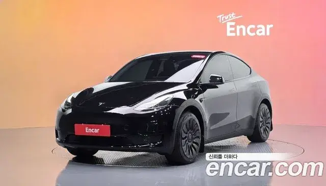 Tesla Model Y RWD 2023