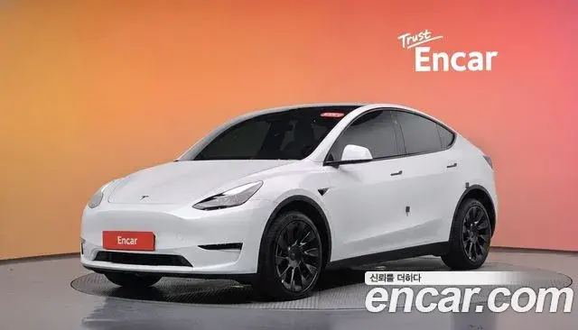 Tesla Model Y Long Range AWD 2024