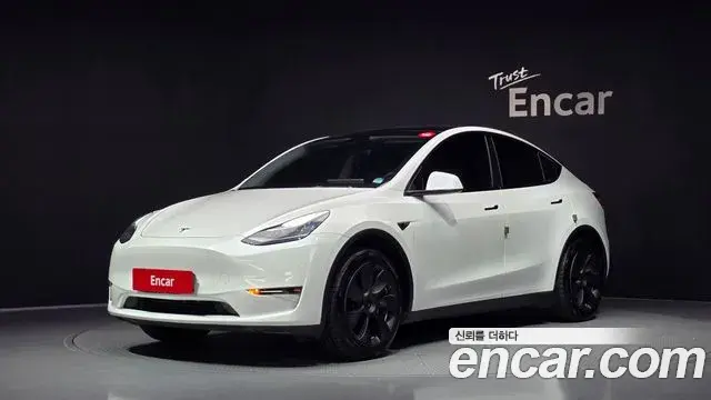 Tesla Model Y Standard Range RWD 2021