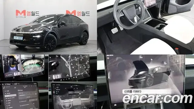 Tesla Model Y RWD 2025