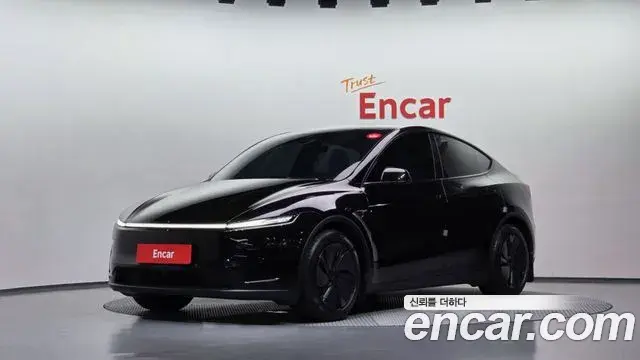 Tesla Model Y Long Range AWD 2025