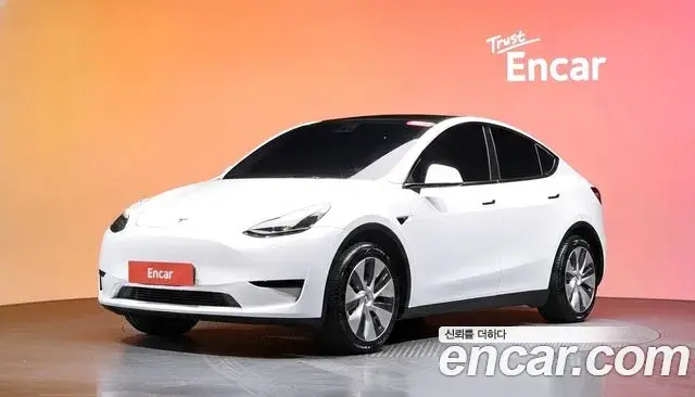 Tesla Model Y RWD 2023